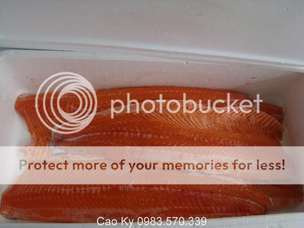 Cá Hồi tươi nguyên con,Phi - Lê nhập từ Na-Uy.ảnh thật - 3
