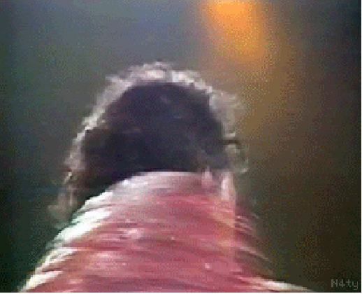 22111530En7FXDB.gif~original