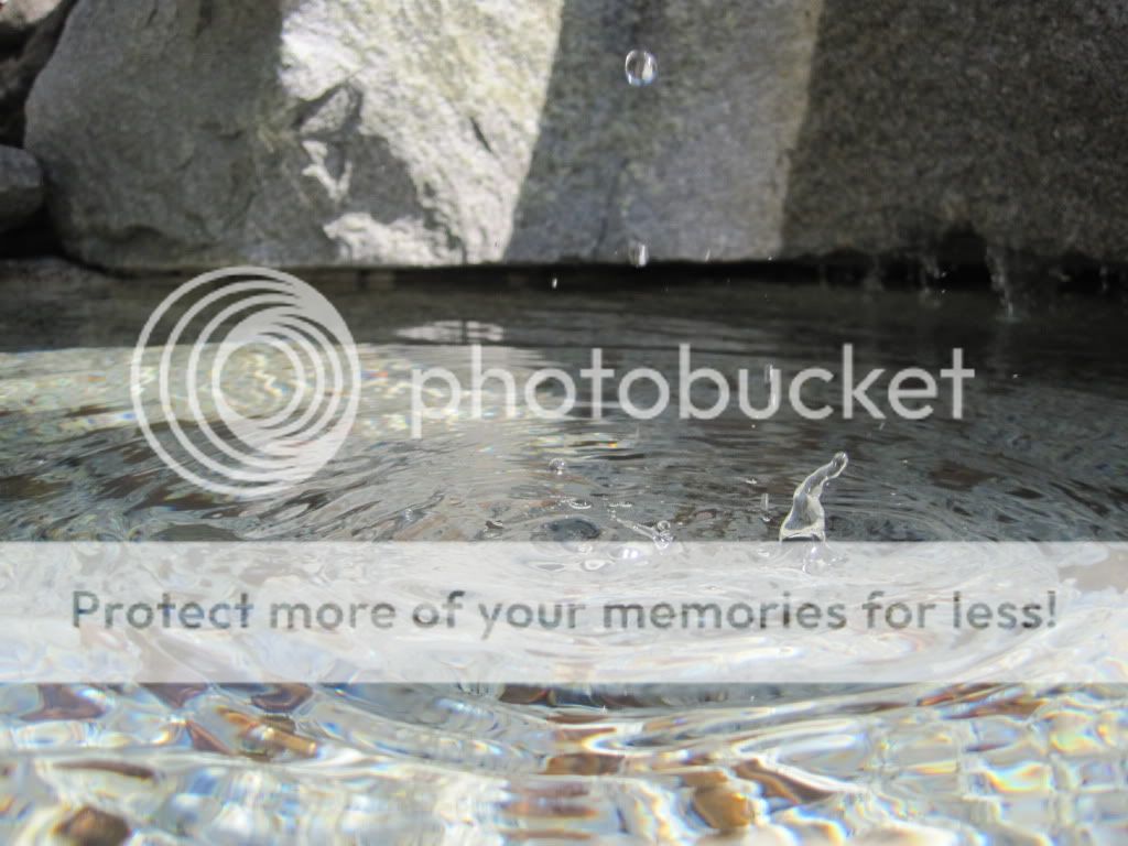 IMAGE: http://i890.photobucket.com/albums/ac106/G-Town_Laxer/IMG_0843.jpg