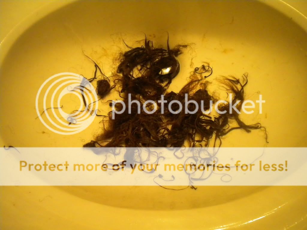 DSCN1120.jpg