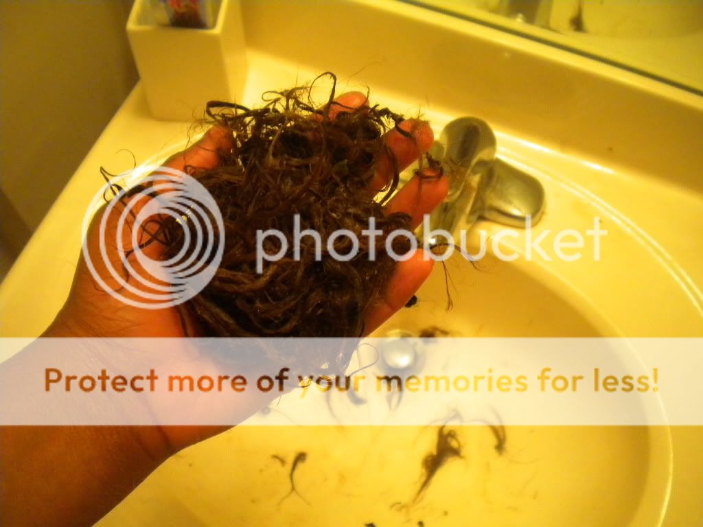 DSCN1121.jpg