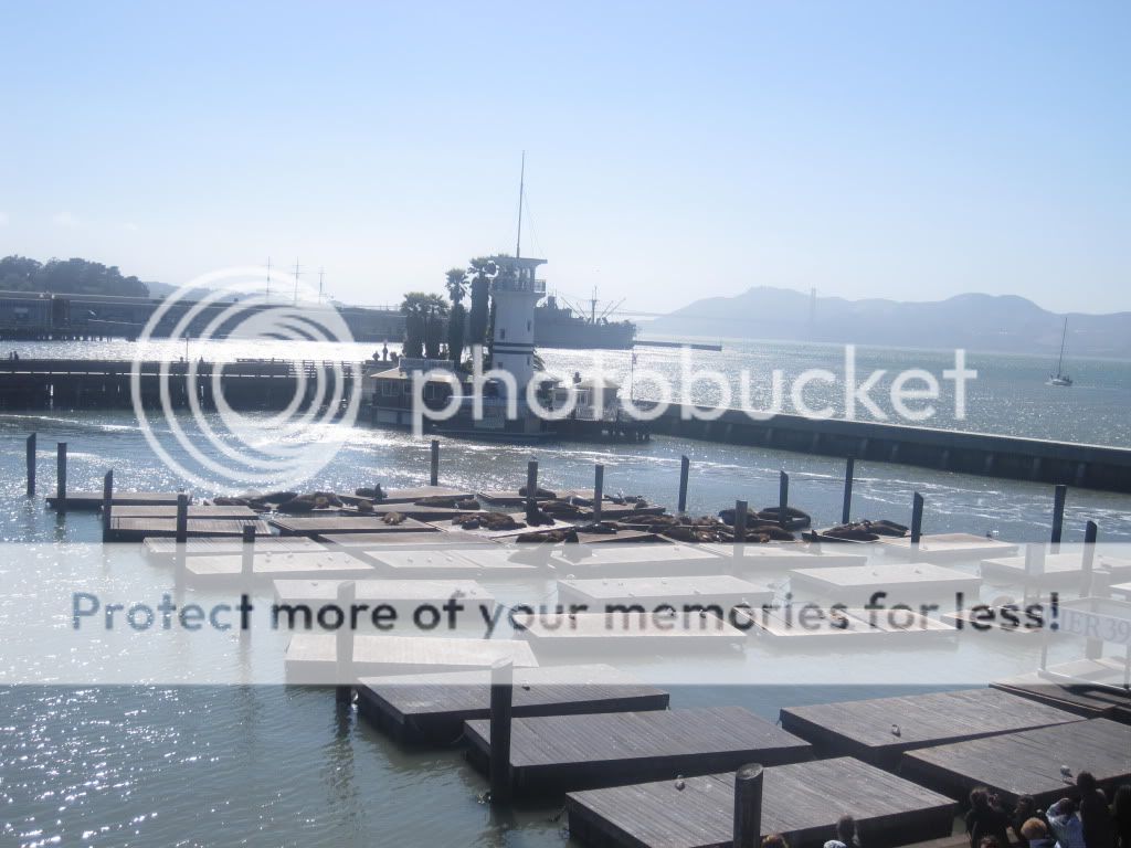 IMAGE: http://i890.photobucket.com/albums/ac107/KnwnAsRob/IMG_0074.jpg