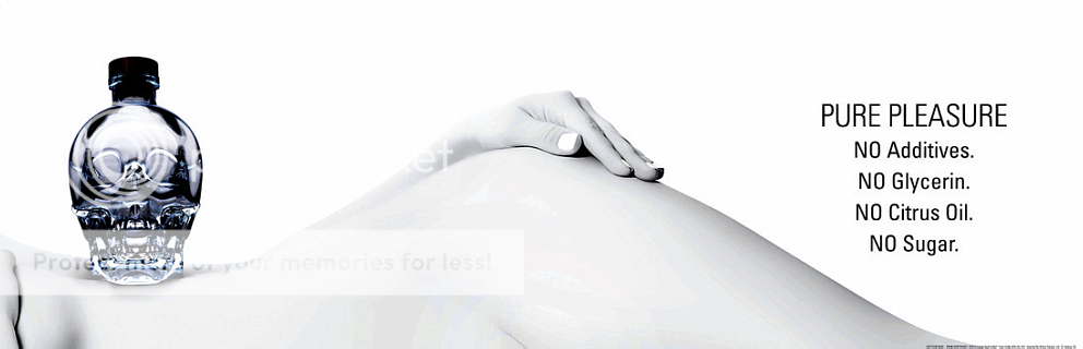 http://i890.photobucket.com/albums/ac107/lizamakeup/CrystalHead2-1.png