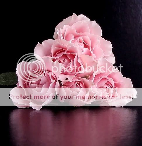 copiar y pegar con historias