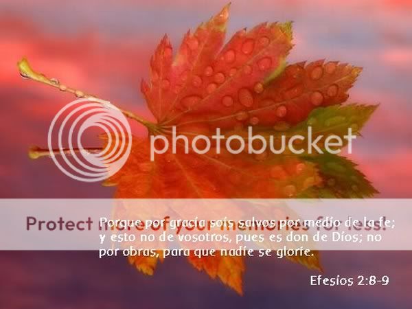 figura de pasajes da biblia