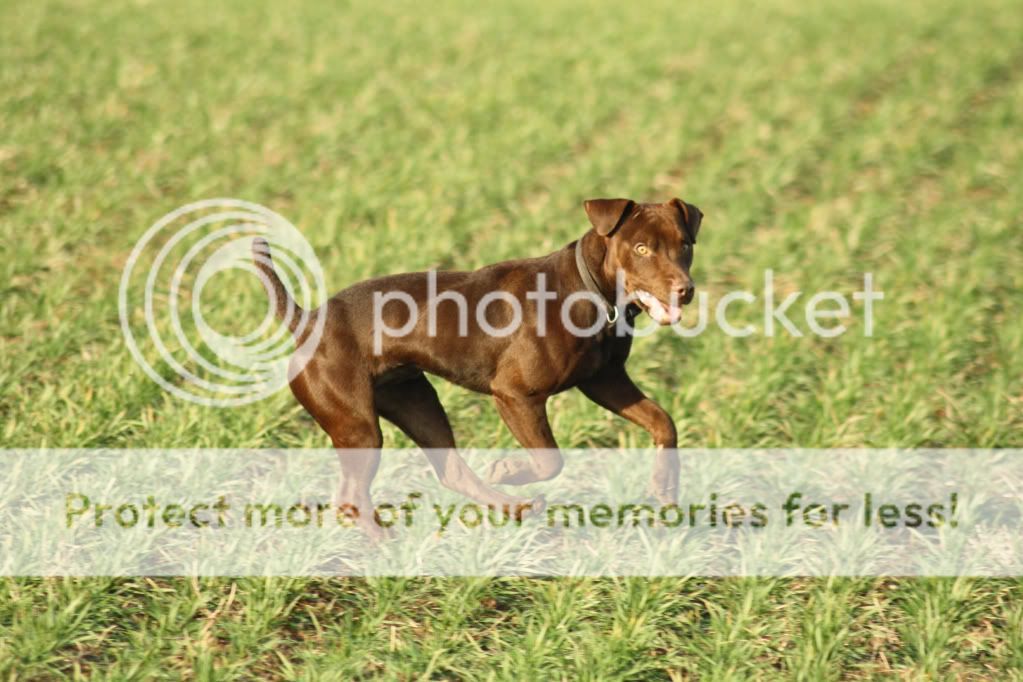 45118d07958f6d203221e4d7a9aecde2.jpg