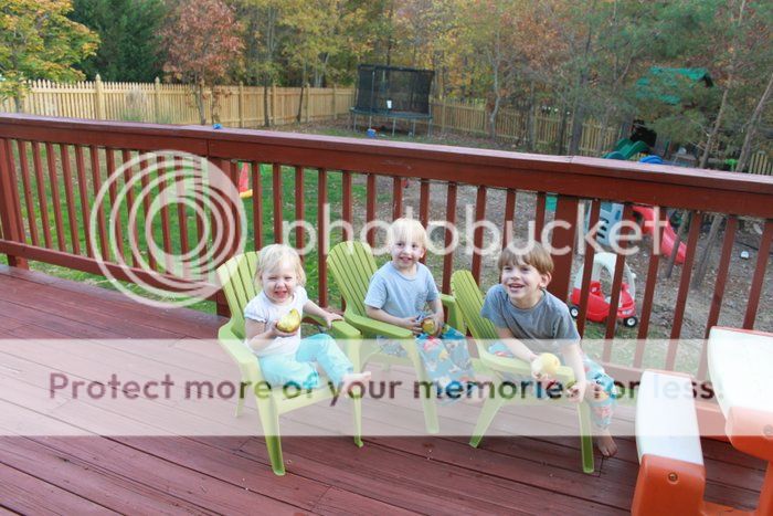 photo IMG_1026_zps4d4f7910.jpg