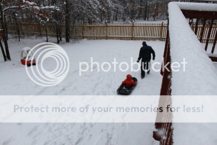 photo IMG_3750_zps4f0d6380.jpg