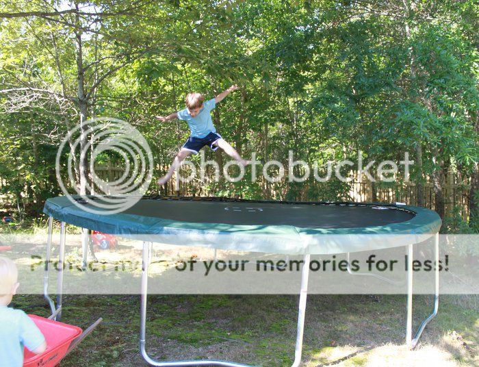 photo IMG_7476_zps879ab7d6.jpg