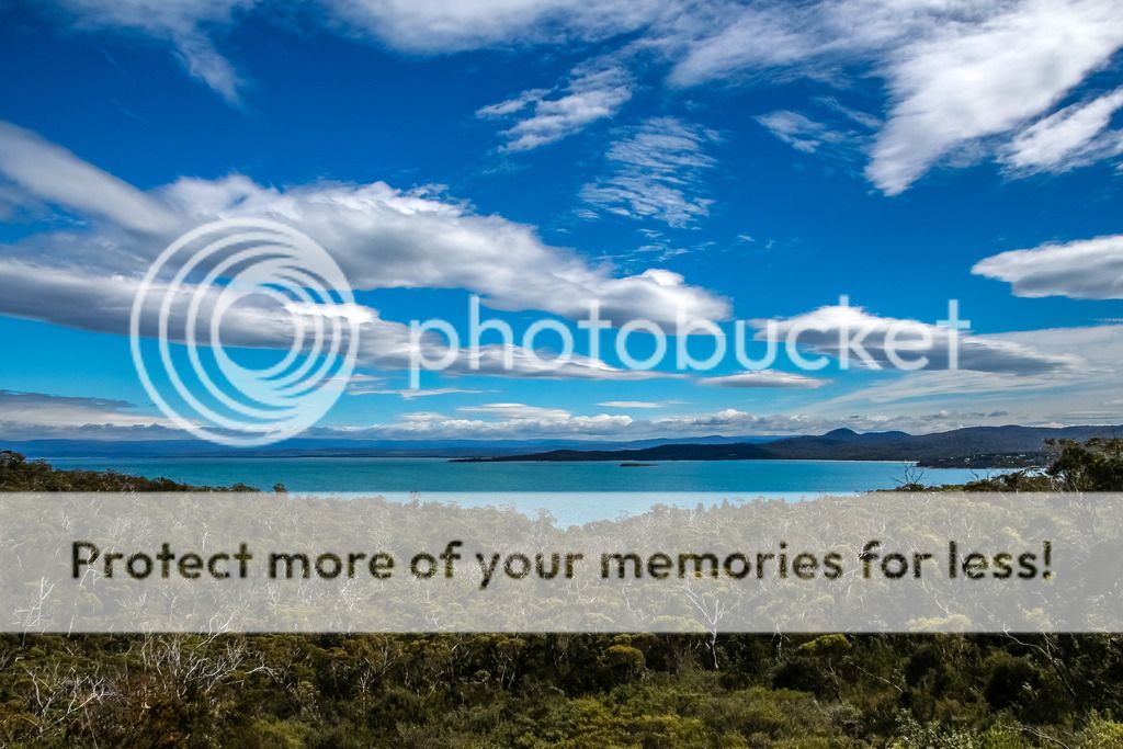 IMAGE: http://i890.photobucket.com/albums/ac109/newmanandy/IMG_0837-2_zpsisyeyvbj.jpg~original