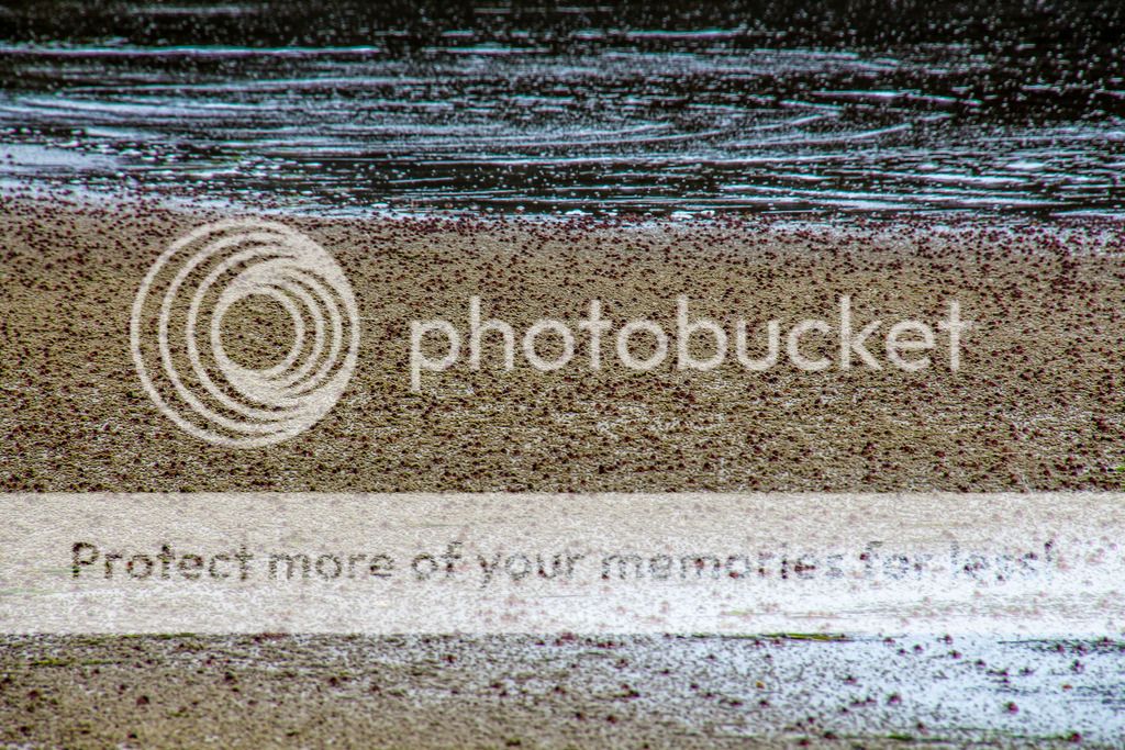 IMAGE: http://i890.photobucket.com/albums/ac109/newmanandy/IMG_1028-2_zpsnkf7pkhk.jpg~original