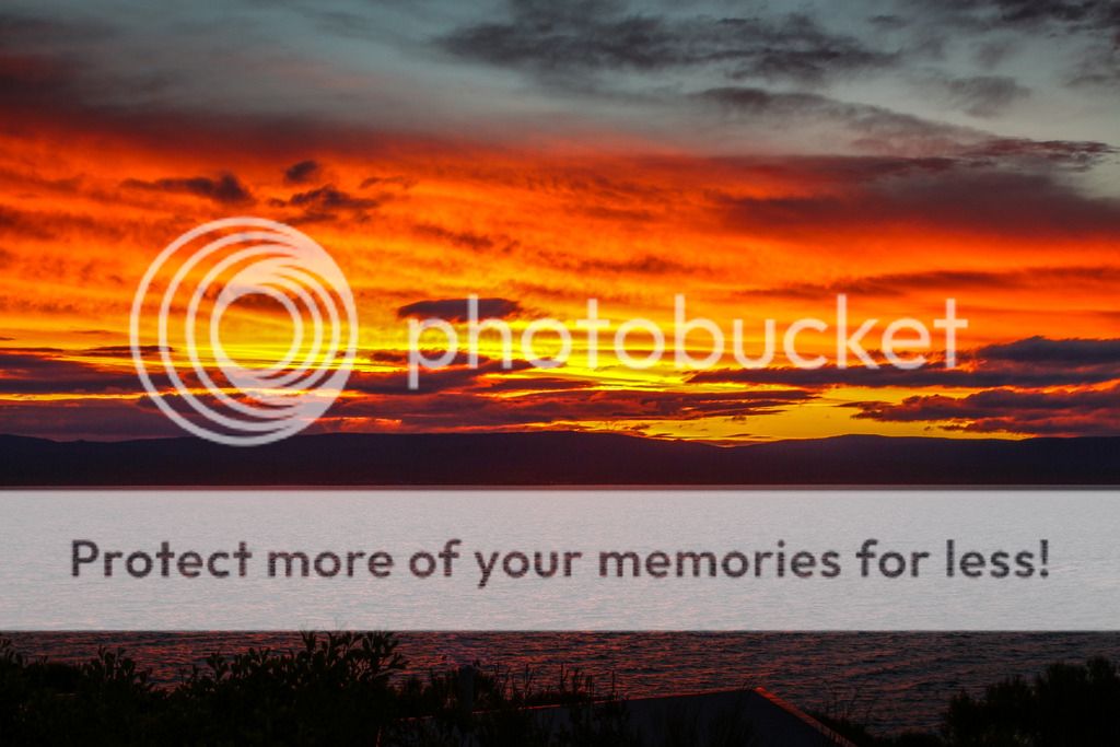 IMAGE: http://i890.photobucket.com/albums/ac109/newmanandy/IMG_1071-2_zpsrczin3di.jpg~original