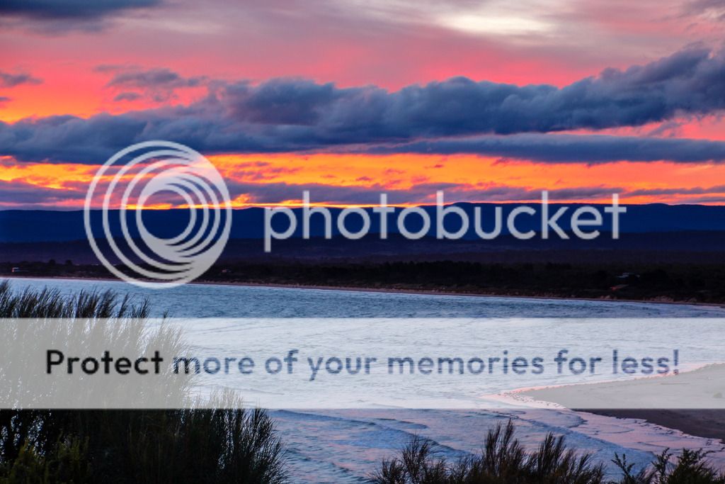 IMAGE: http://i890.photobucket.com/albums/ac109/newmanandy/IMG_1080-2_zpsu8fnxber.jpg~original