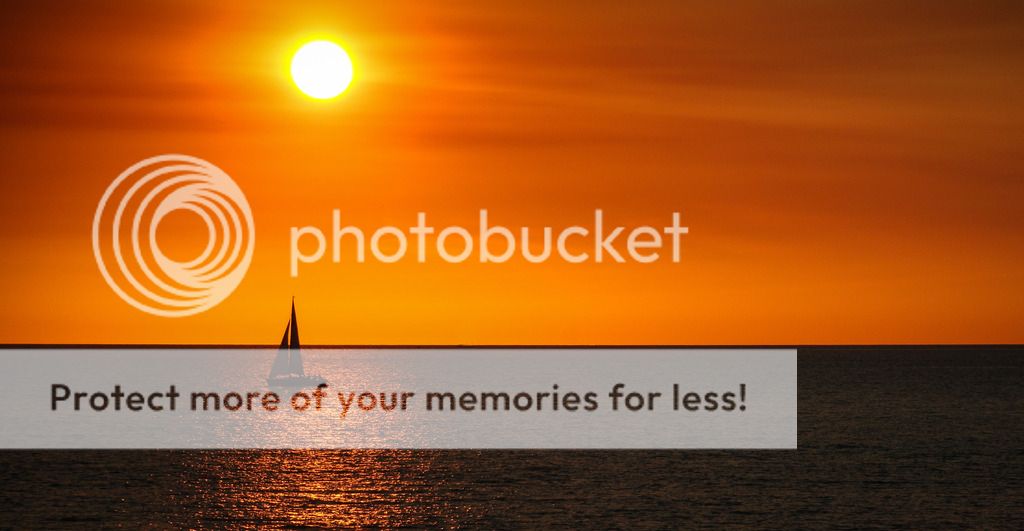 IMAGE: http://i890.photobucket.com/albums/ac109/newmanandy/IMG_3154-3_zpshd5surnm.jpg~original