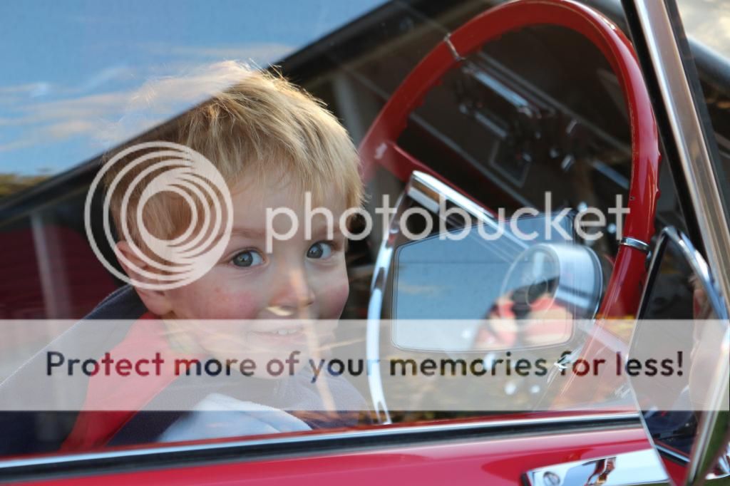 IMAGE: http://i890.photobucket.com/albums/ac109/newmanandy/IMG_4842_zps351671cd.jpg~original