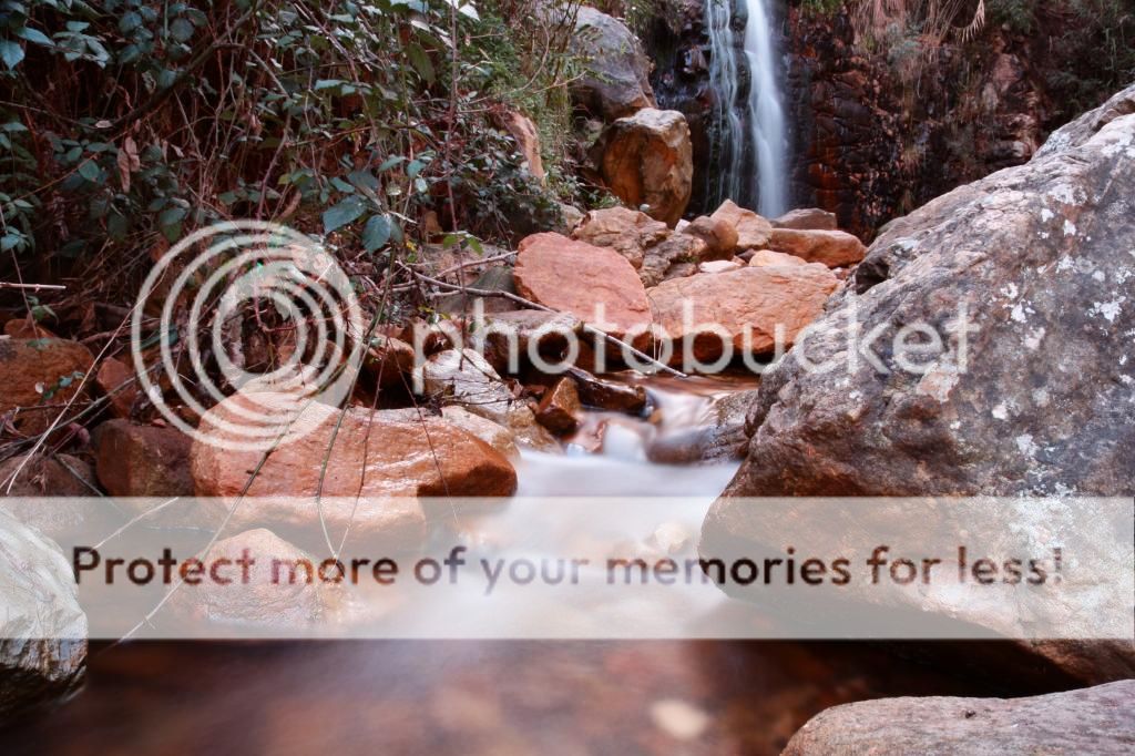 IMAGE: http://i890.photobucket.com/albums/ac109/newmanandy/IMG_5068_zpsef6fc82c.jpg