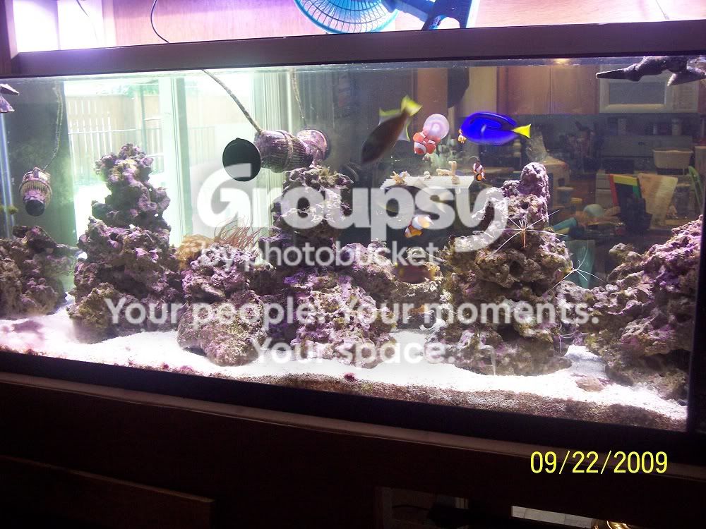 [TodoMarino.com] ¡¡Novedad!! Roca Base de 1ª Calidad en CORAL REEF