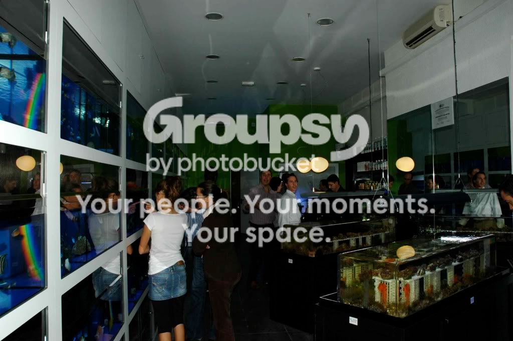 [TodoMarino.com] Fotos Inauguración CORAL REEF