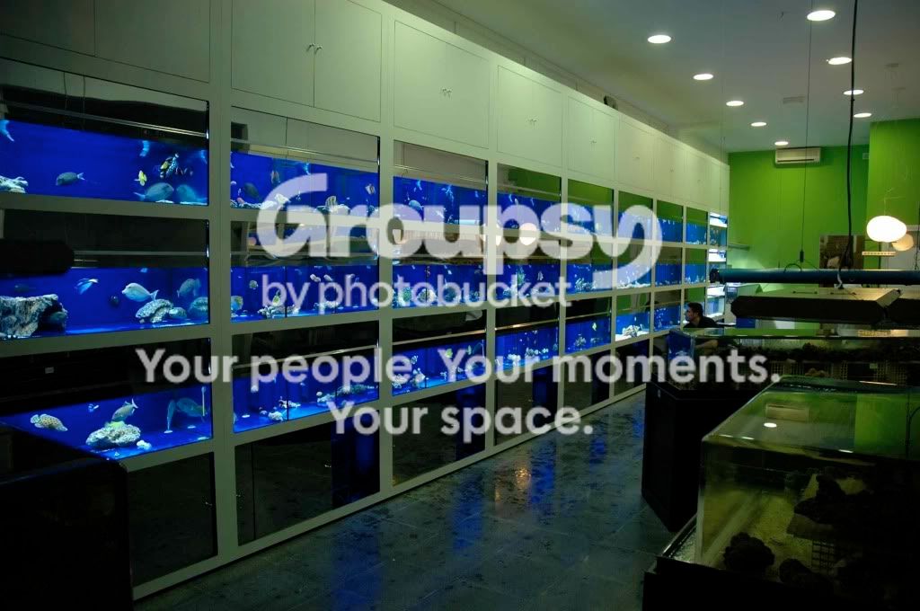 [TodoMarino.com] Fotos Inauguración CORAL REEF
