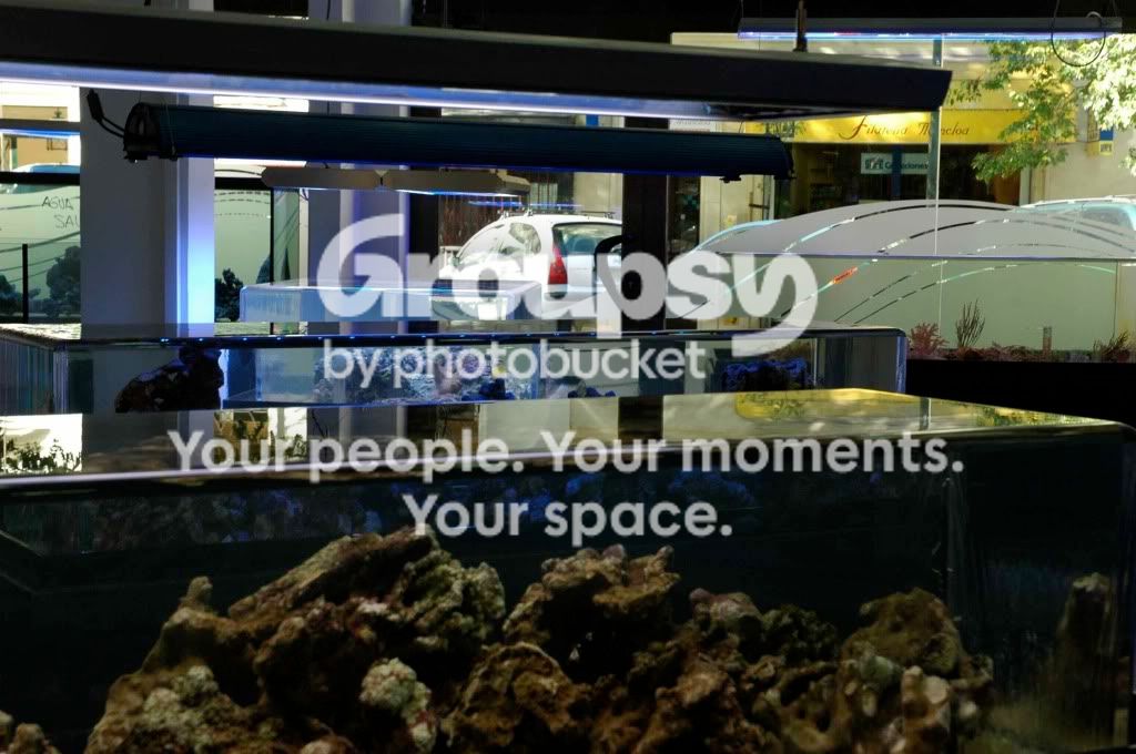 [TodoMarino.com] Fotos Inauguración CORAL REEF