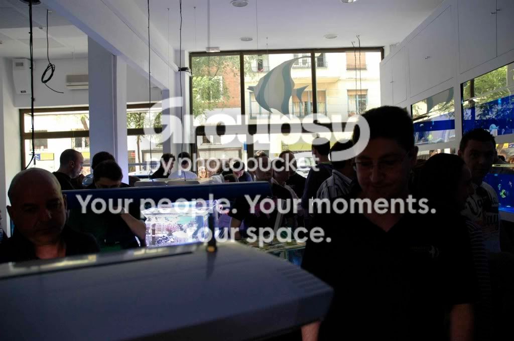 [TodoMarino.com] Fotos Inauguración CORAL REEF