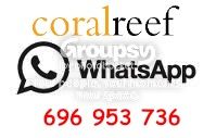 [TodoMarino.com] Coral, Coral, Coral...CORAL REEF - Avance llegadas !!!!
